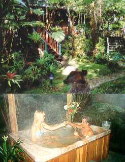 Carsons Volcano Cottage Guestrooms