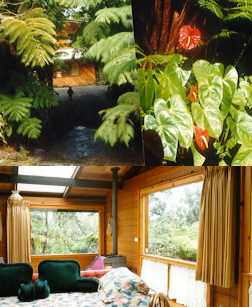Auf dem Weg zum Gecko Cottage und im Nene Cottage.